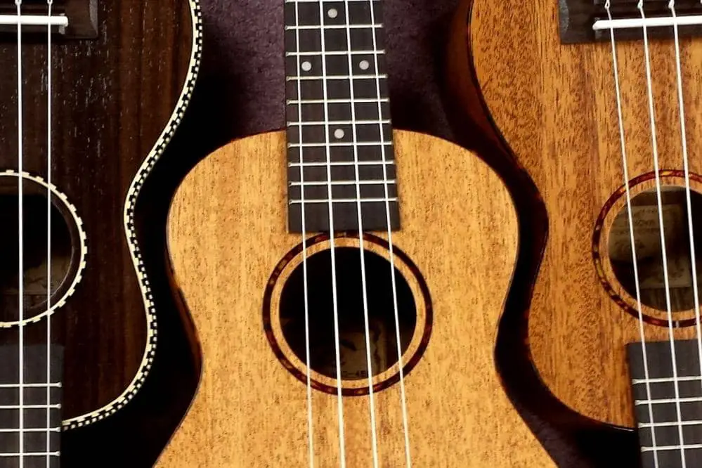 ukulele types